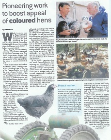 Piggotts coloured birds in Poultry World and Farmers Weekly Magazine